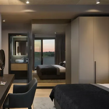 Villa Modern 55 With Pool And Pazin