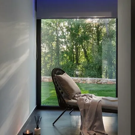 Modern 55 With Pool And 帕津