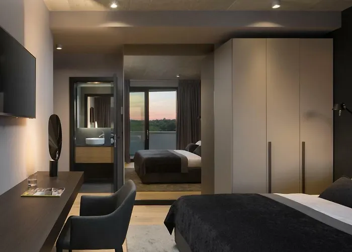 Vila Modern 55 With Pool And Pazin