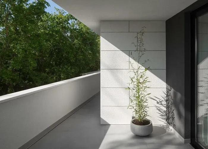 Modern 55 With Pool And *