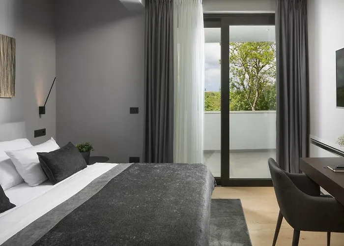 Modern 55 With Pool And Vila Pazin