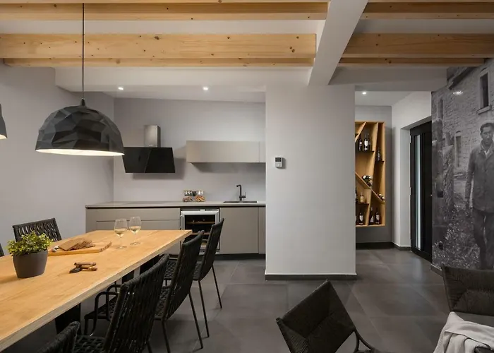 Modern 55 With Pool And Villa Pazin