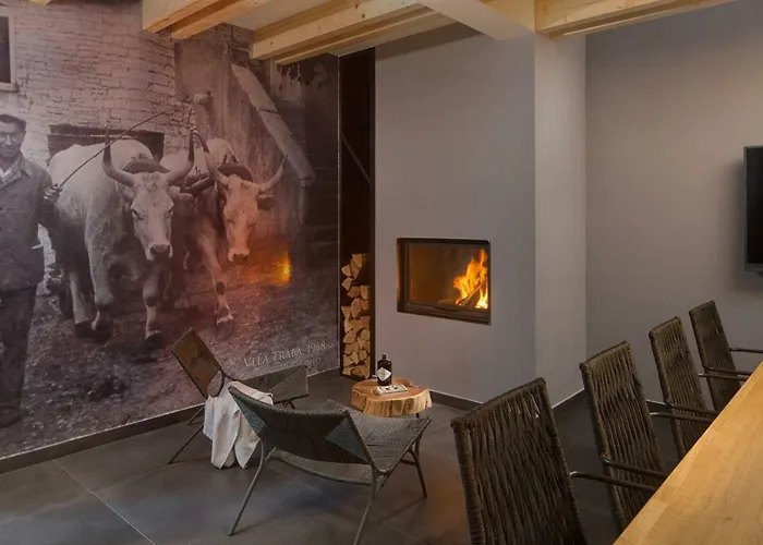 Modern 55 With Pool And * Pazin