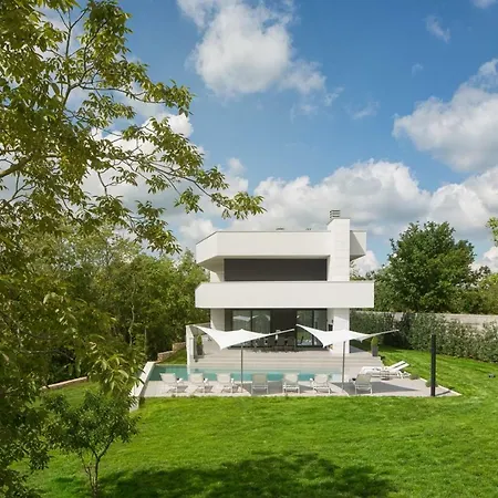 Modern 55 With Pool And Pazin